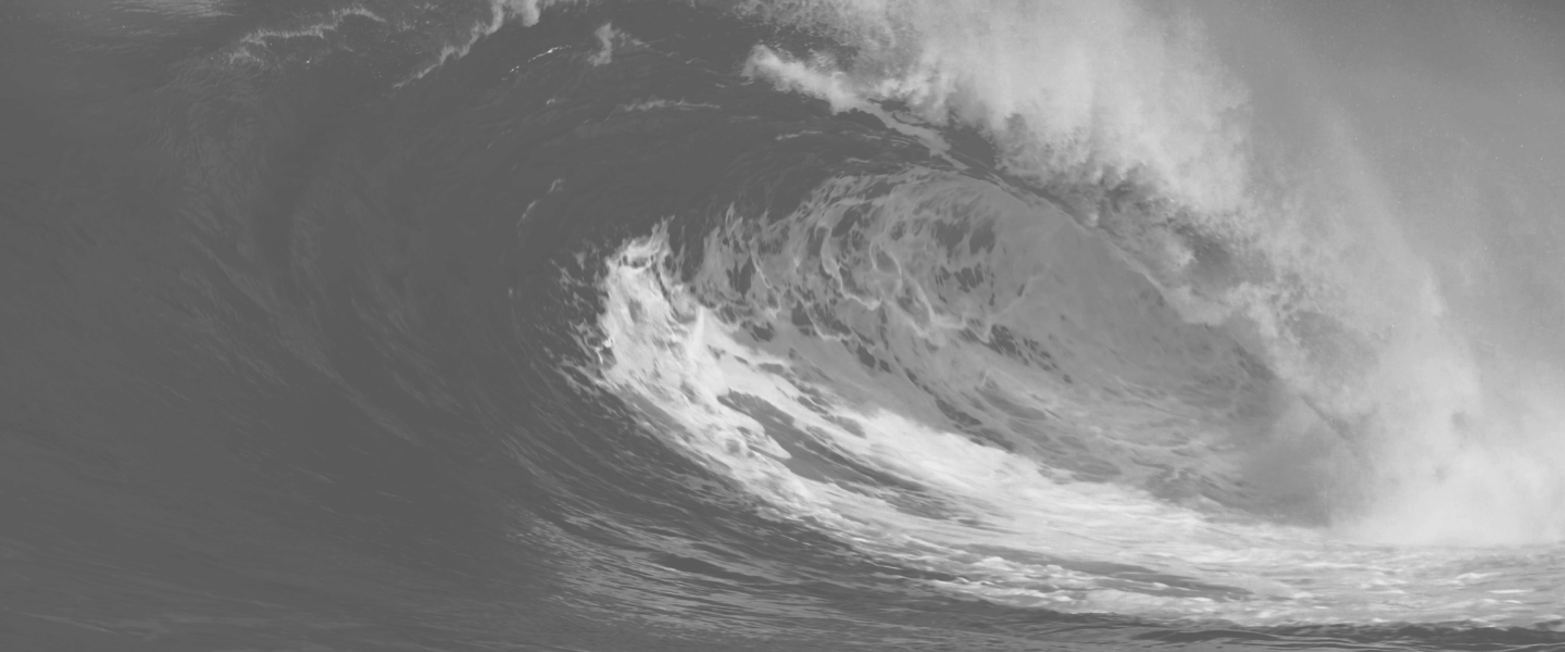 THE MORE OF US THERE ARE,